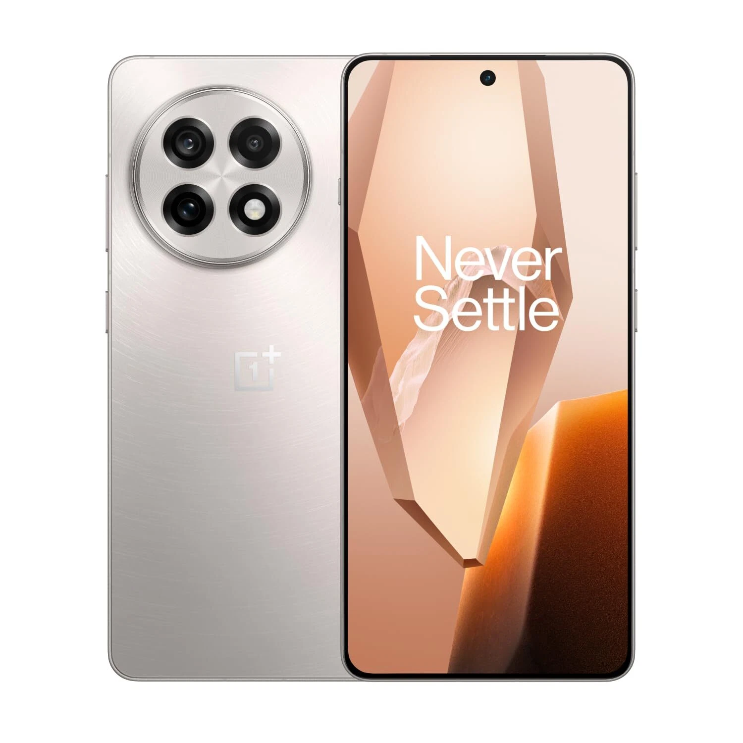 ONEPLUS 13R 12+256GB CPH2645