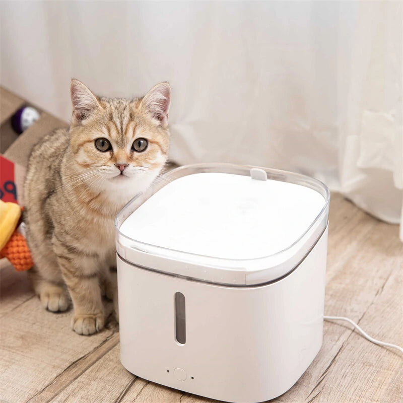 Pawbby Pet Water Fountain