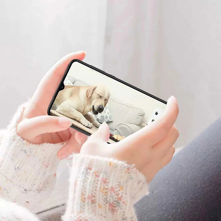 Pawbby Camera & Treat Cam